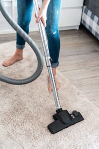 Can Fleas Travel on Humans to Another House?
